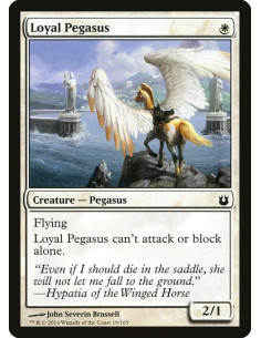 Loyal Pegasus
