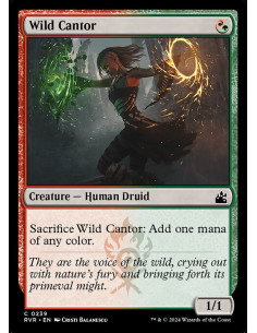 Wild Cantor