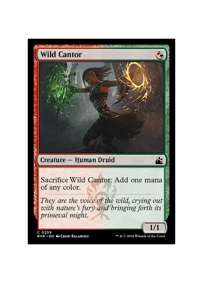 Wild Cantor