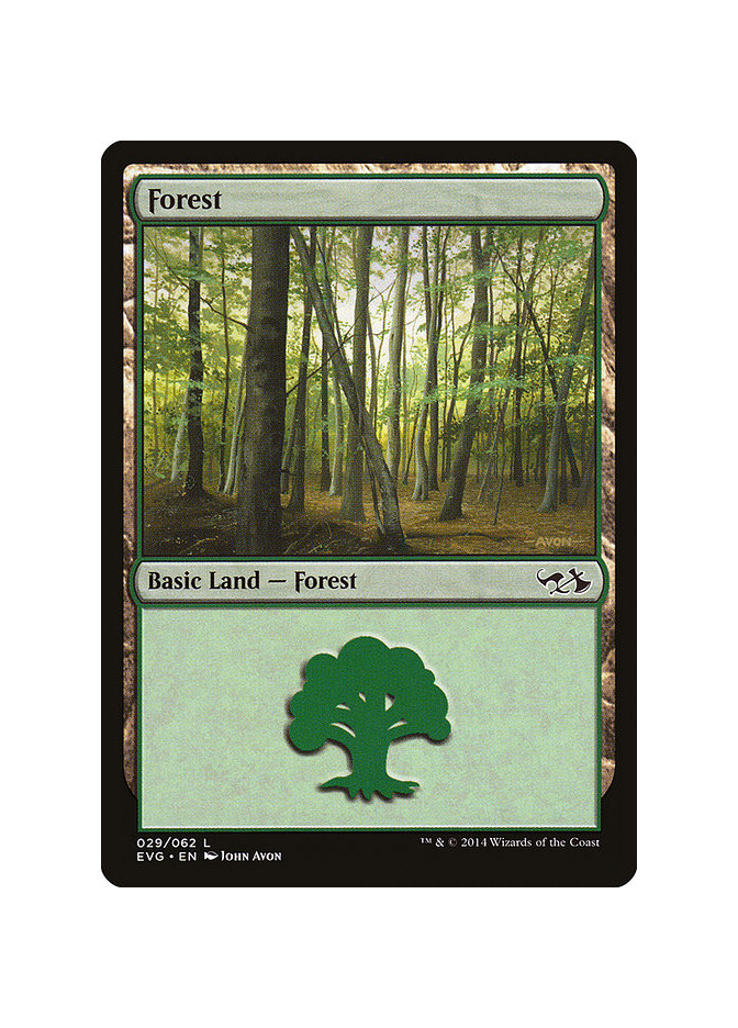 Forest