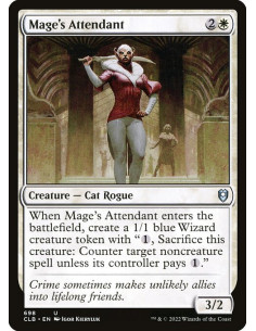 Mage's Attendant