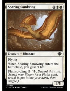 Soaring Sandwing