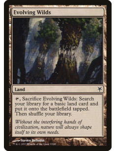 Evolving Wilds