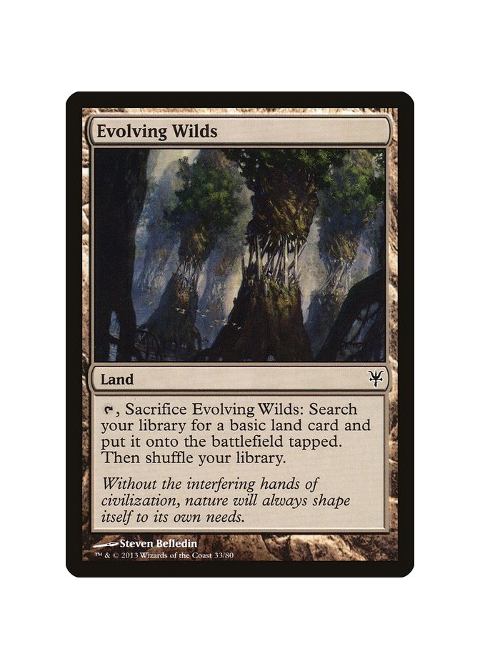 Evolving Wilds