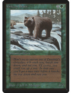 Grizzly Bears