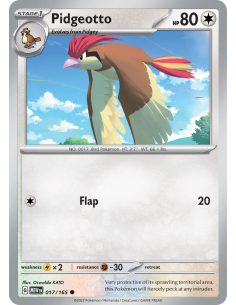 Pidgeotto