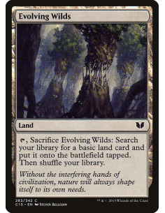 Evolving Wilds