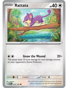 Rattata