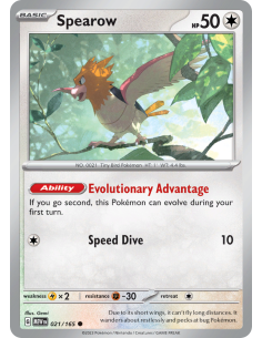 Spearow