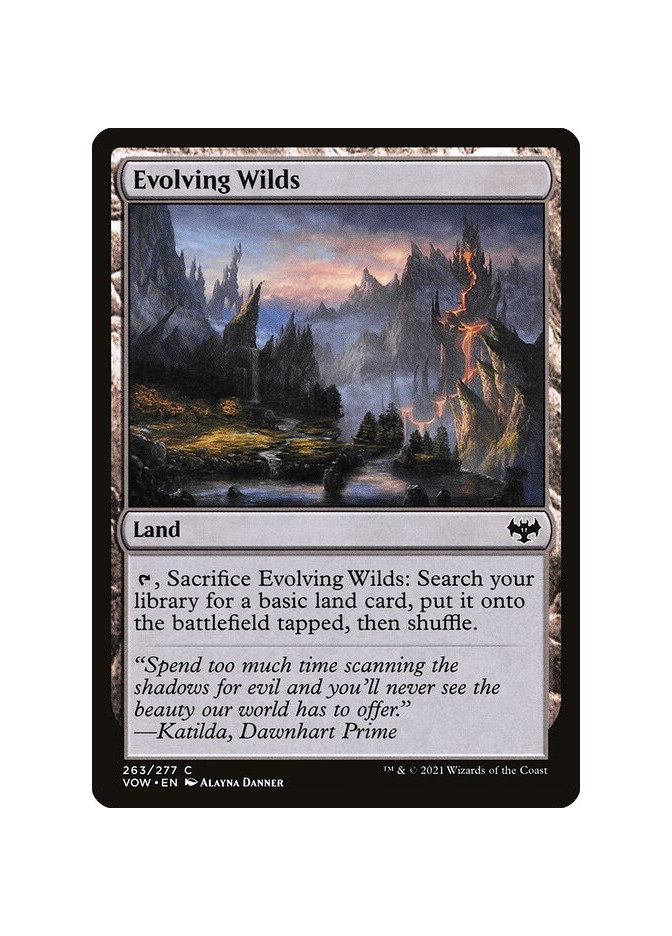 Evolving Wilds