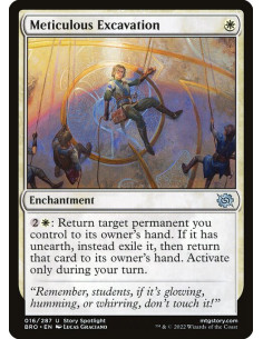 Meticulous Excavation - Foil