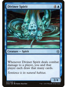 Diviner Spirit