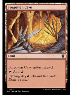 Forgotten Cave