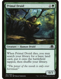 Primal Druid