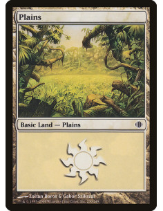 Plains - Foil