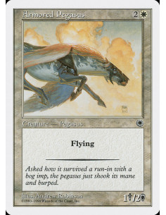 Armored Pegasus