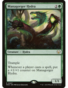 Managorger Hydra