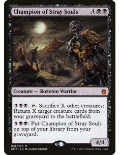 Champion of Stray Souls