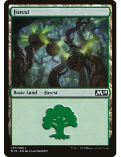 Forest - Foil