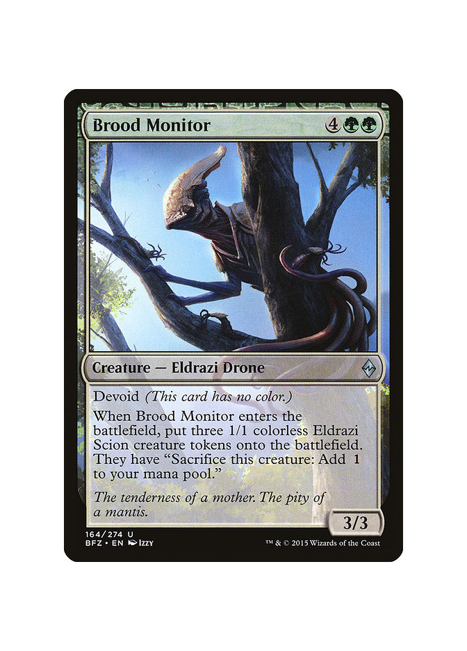 Brood Monitor - Foil