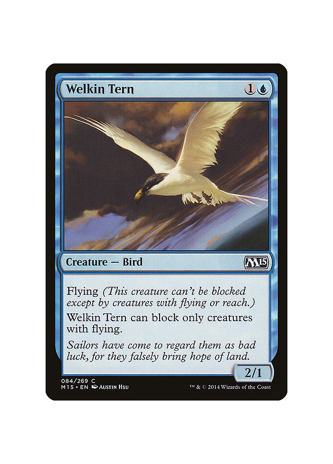 Welkin Tern