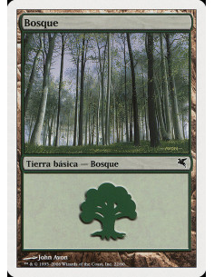 Forest
