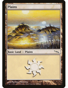 Plains