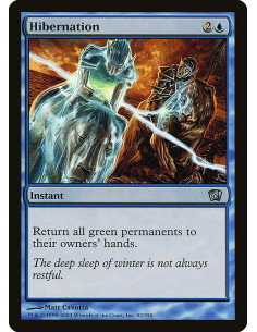 Hibernation - Foil