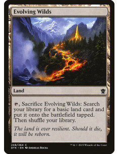 Evolving Wilds - Foil