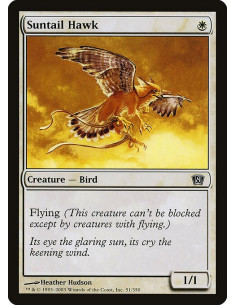 Suntail Hawk - Foil