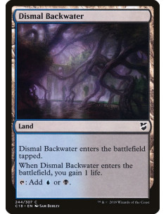 Dismal Backwater