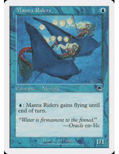 Manta Riders