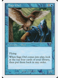 Sage Owl