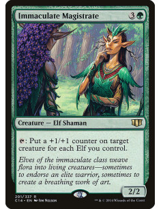 Immaculate Magistrate