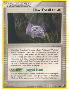Claw Fossil
