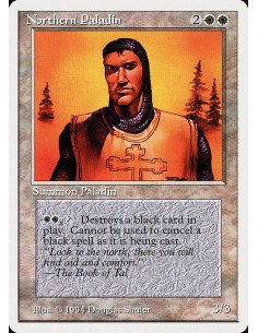 Northern Paladin