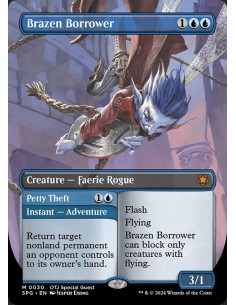 Brazen Borrower // Petty Theft