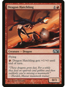 Dragon Hatchling