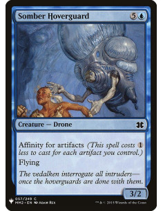 Somber Hoverguard
