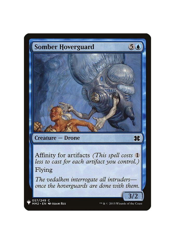 Somber Hoverguard
