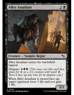 Alley Assailant - Foil