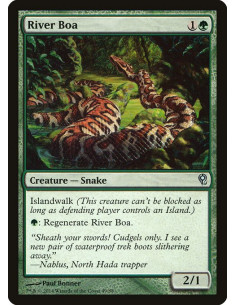 River Boa