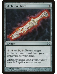 Skeleton Shard
