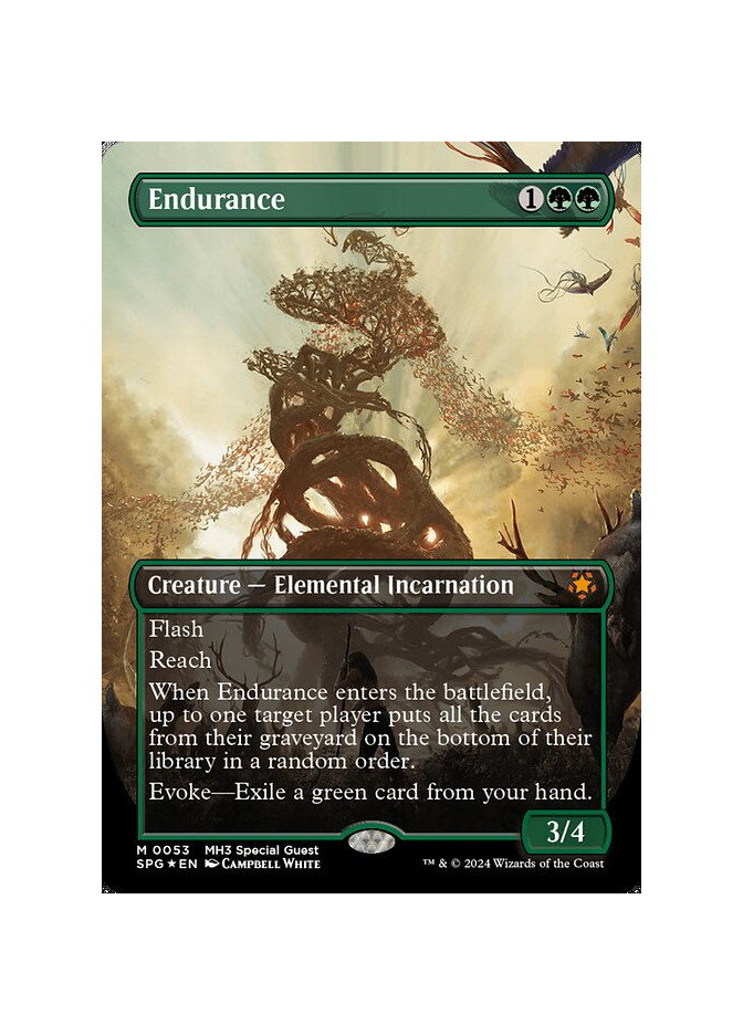 Endurance - Foil