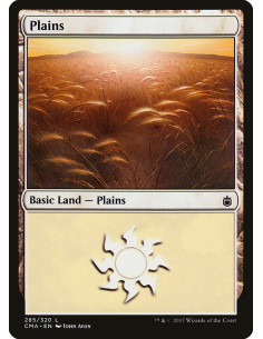 Plains