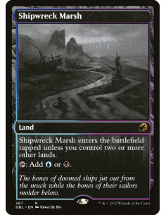 Shipwreck Marsh - Foil