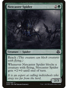 Netcaster Spider