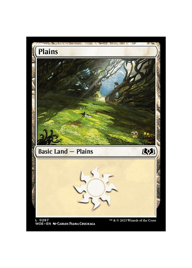 Plains