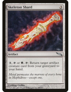 Skeleton Shard