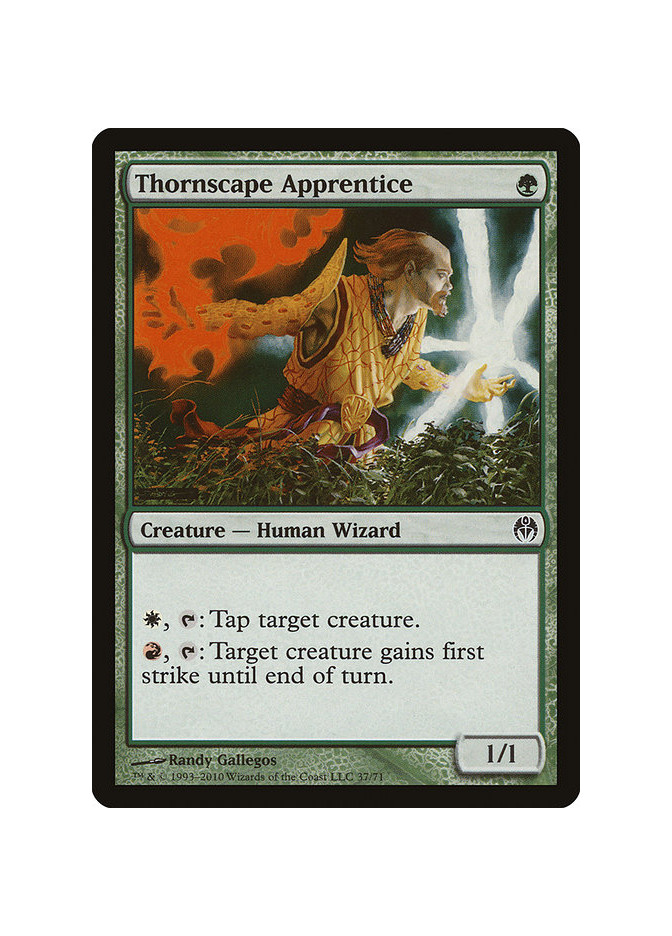 Thornscape Apprentice